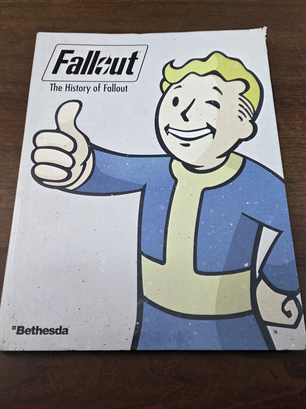 The History of Fallout by Paul Davies 2015 Bethesda Book